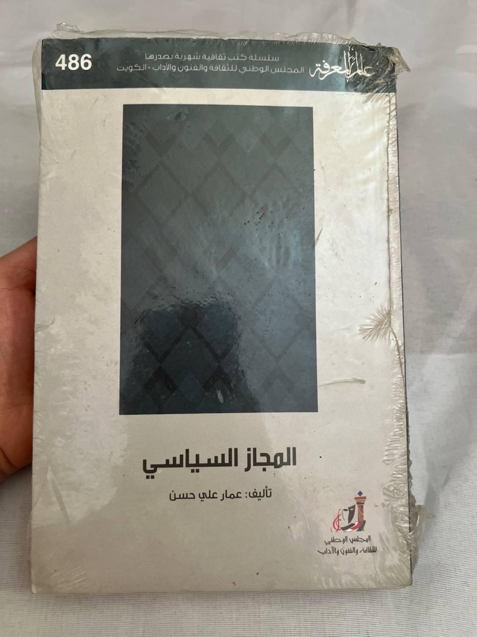 المجاز السياسي